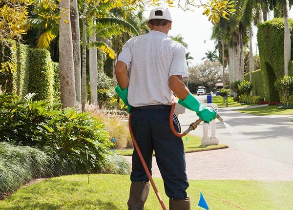 About Pateros WA Pest Control Pros